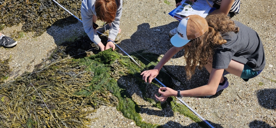 PMT et marée basse  - Image 2