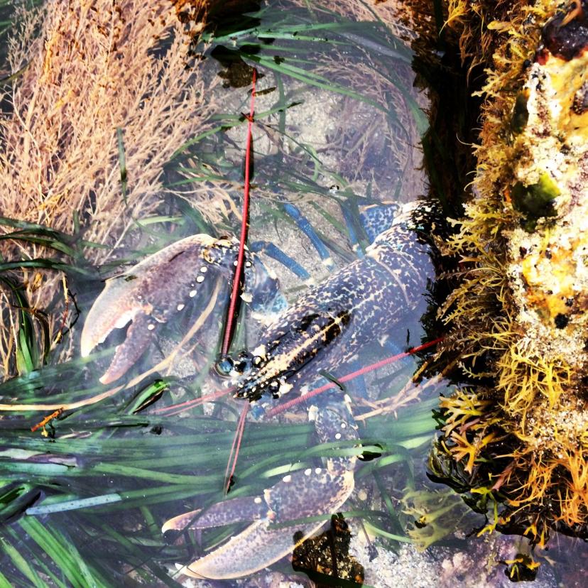 PMT et marée basse  - Image 3