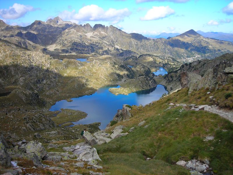 Raid Sport Evasion  - Image 2