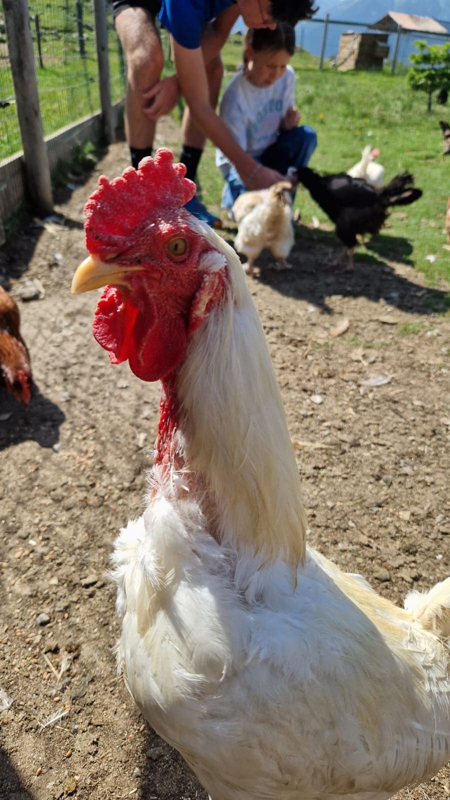 Les trappeurs Catalans - Image 3