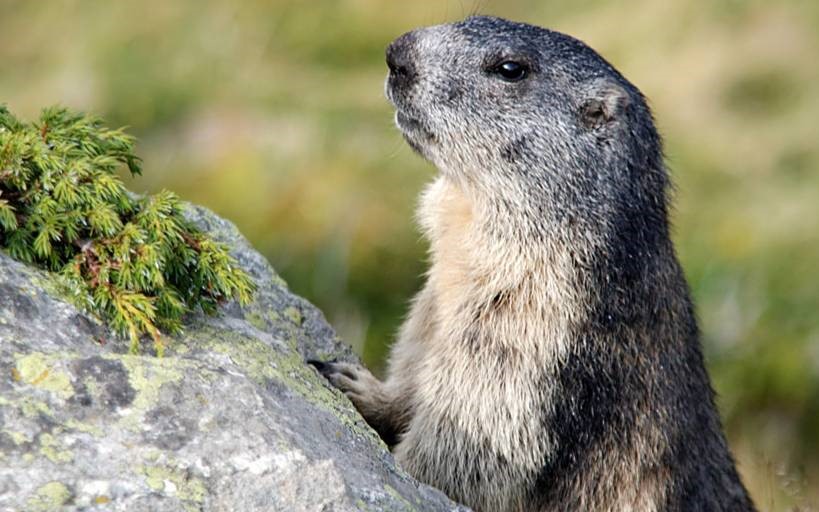 Aventures en Vallée d'Aure 6-8 ans  - Image 2