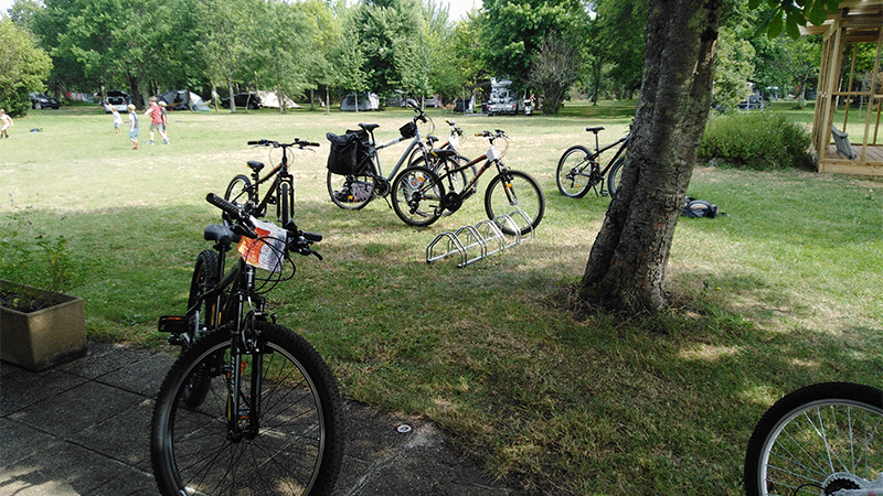 L'Echappée sauvage 1 - Image 2