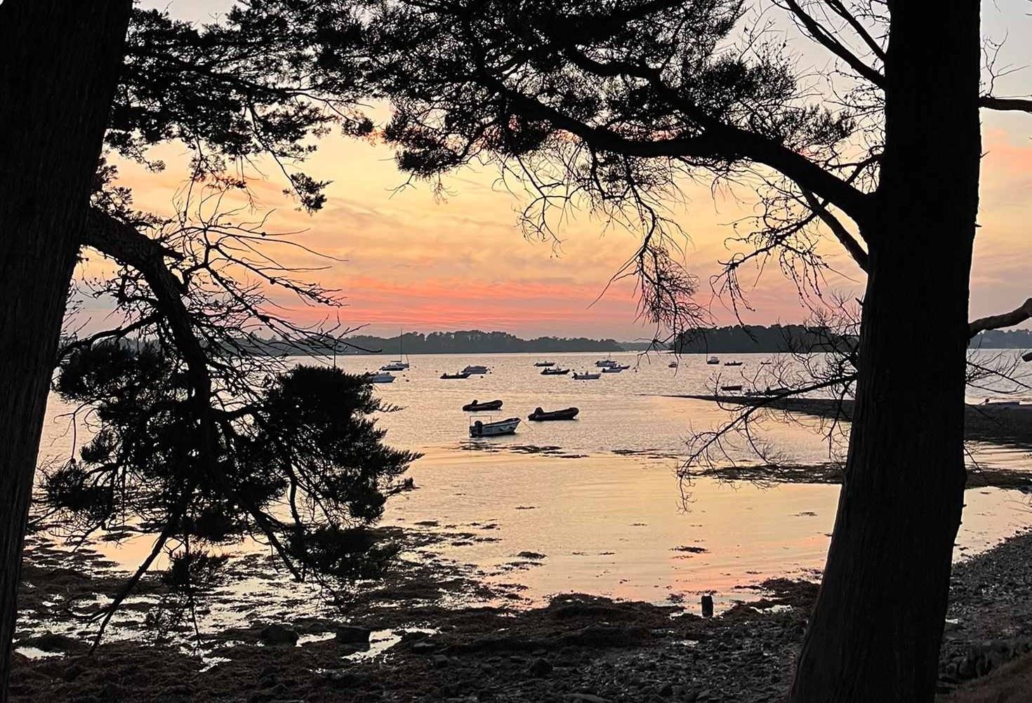 Dériveur : toutes voiles dehors ! Découverte et Perfectionnement  - Image 1