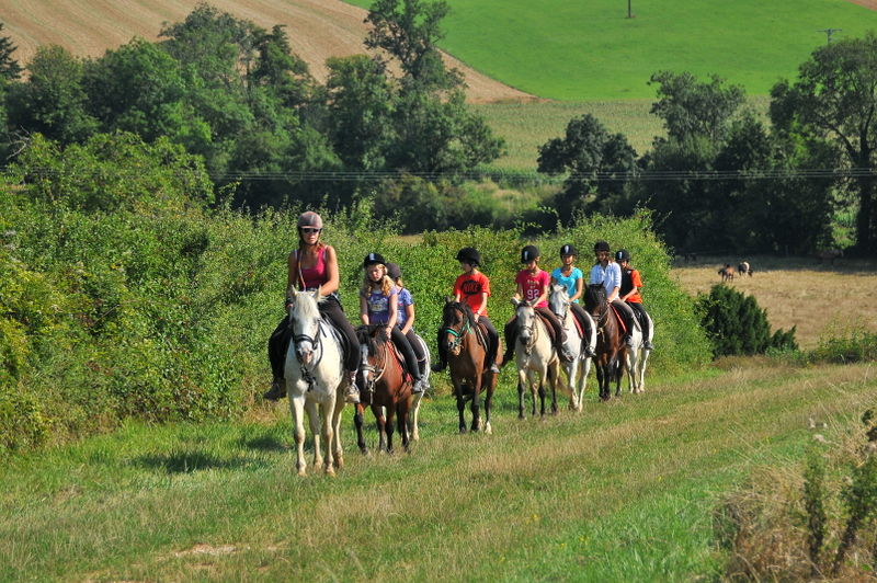 Séjours classiques 100% équitation ! 12/15 ans - Image 2