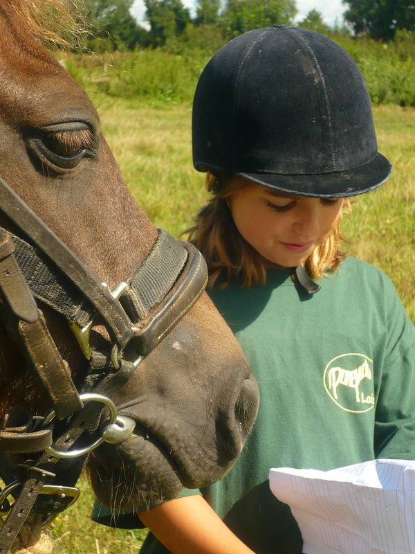Séjours classiques 100% équitation ! 8/11 ans - Image 2