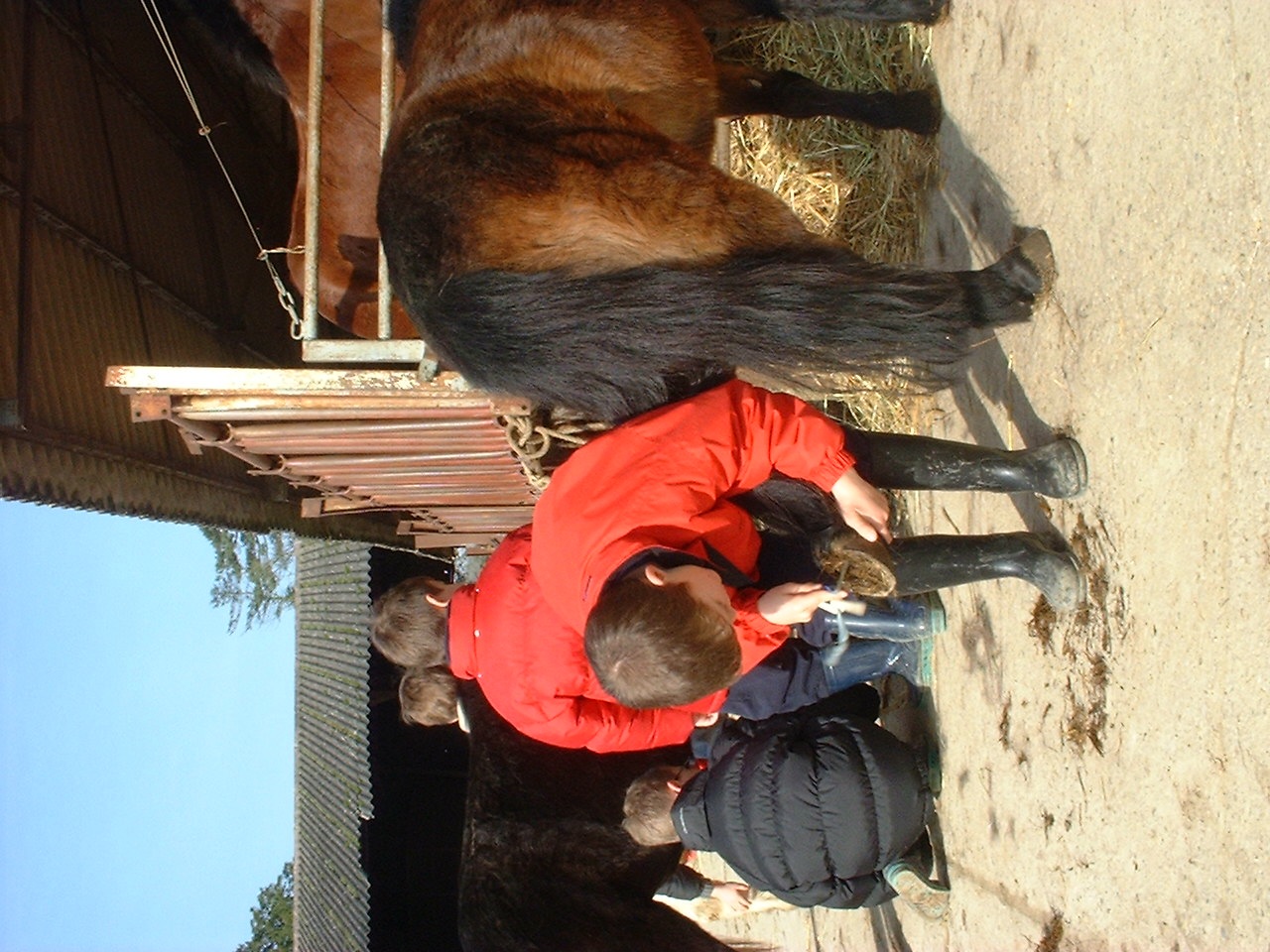 Séjours classiques 100% équitation ! 8/11 ans - Image 1