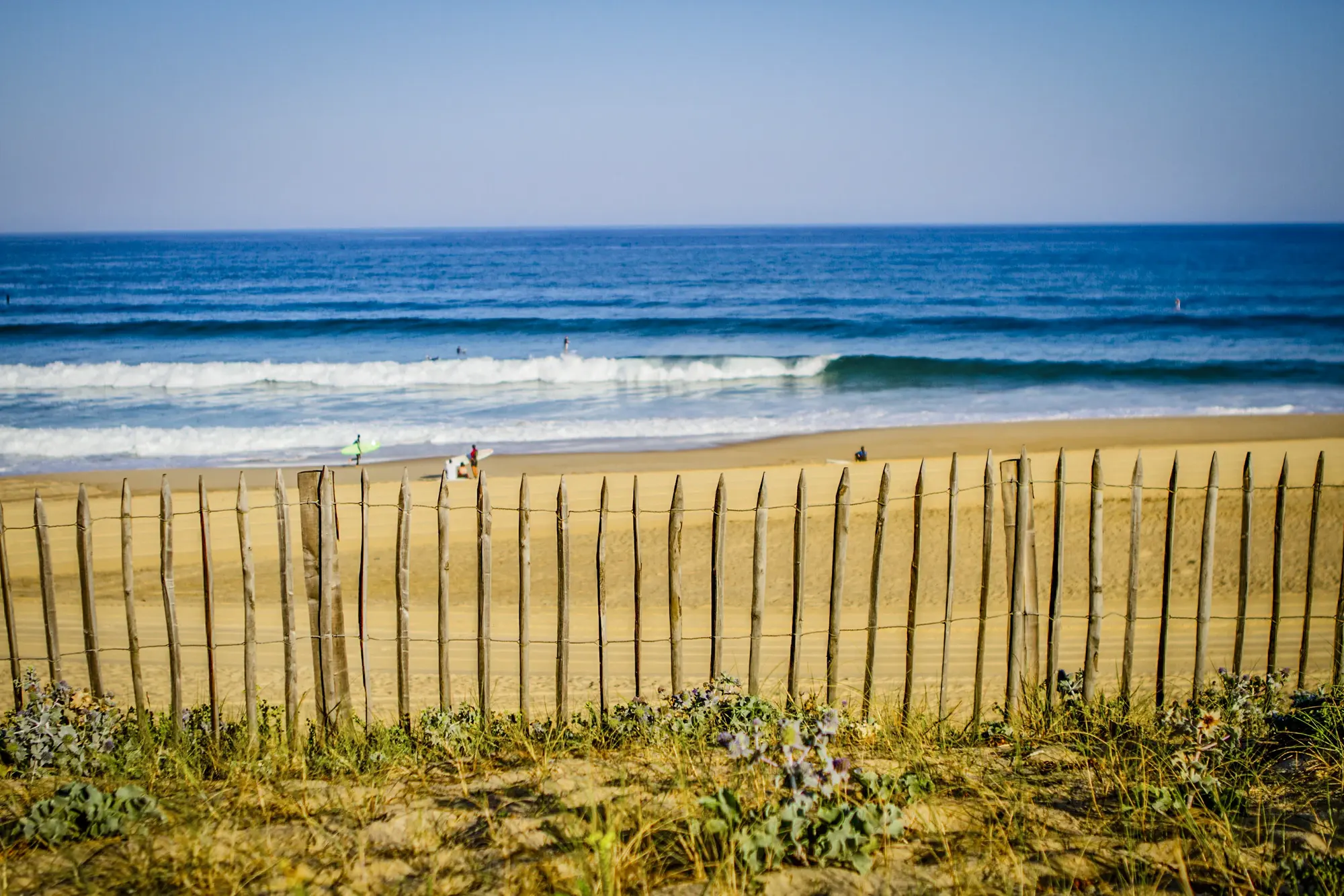 My Creative Surf Camp - Image 3