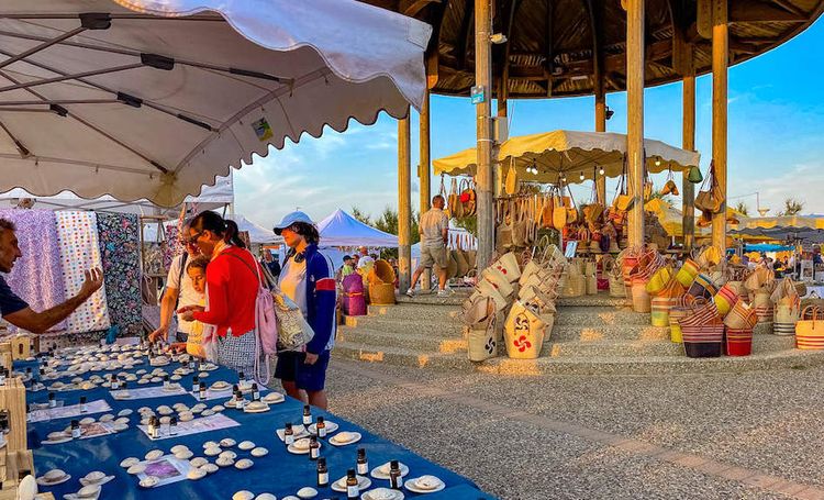 My Creative Surf Camp - Image 2