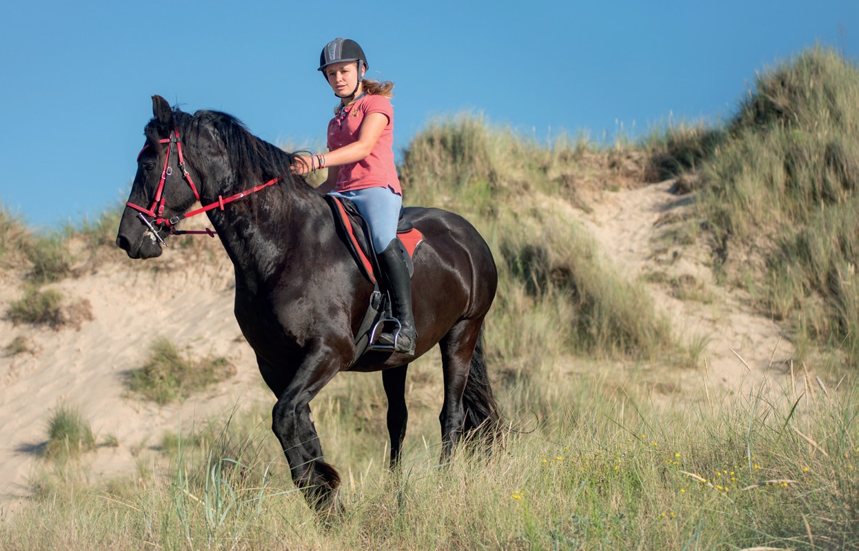 Equitation à l'océan - Image 2