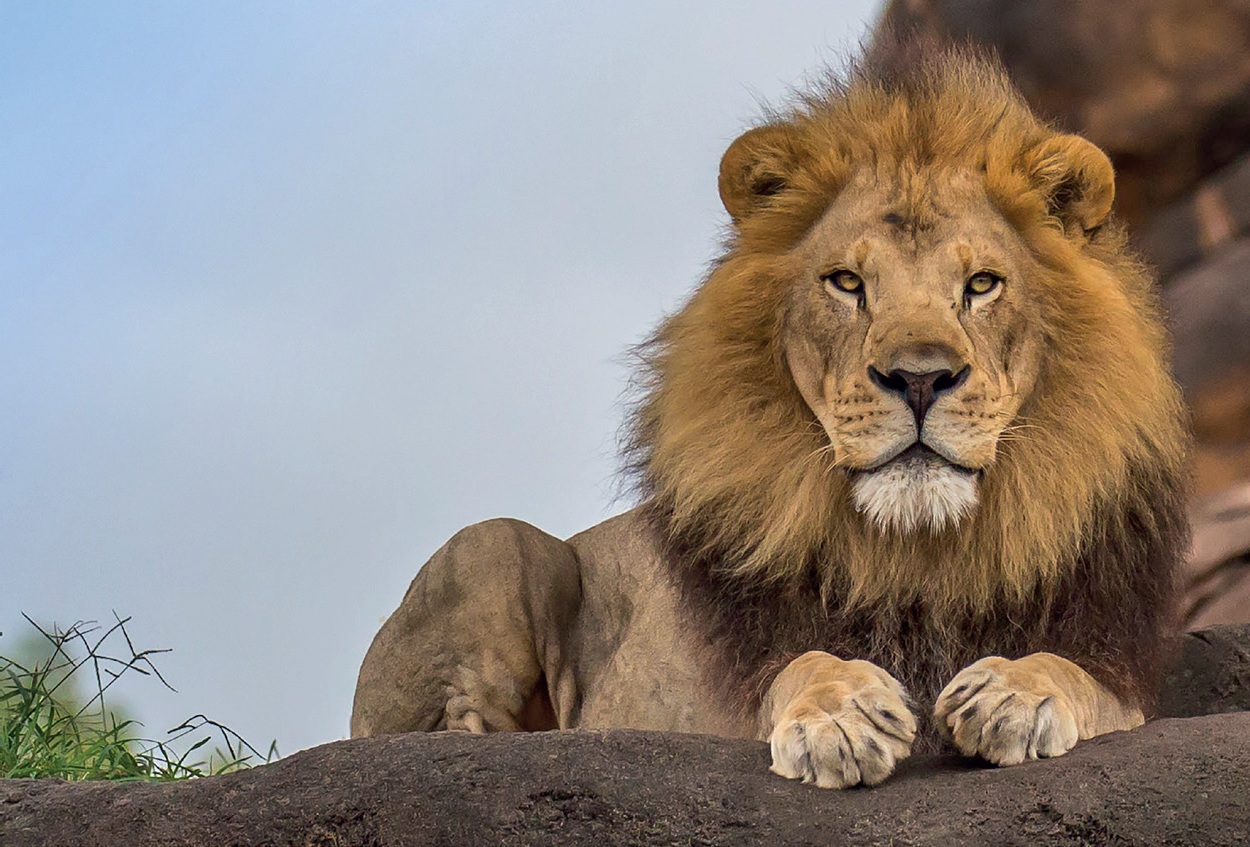 Château de sable - Image 3