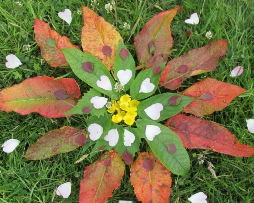 Art'iste nature au parc animalier de Branféré - Image 1