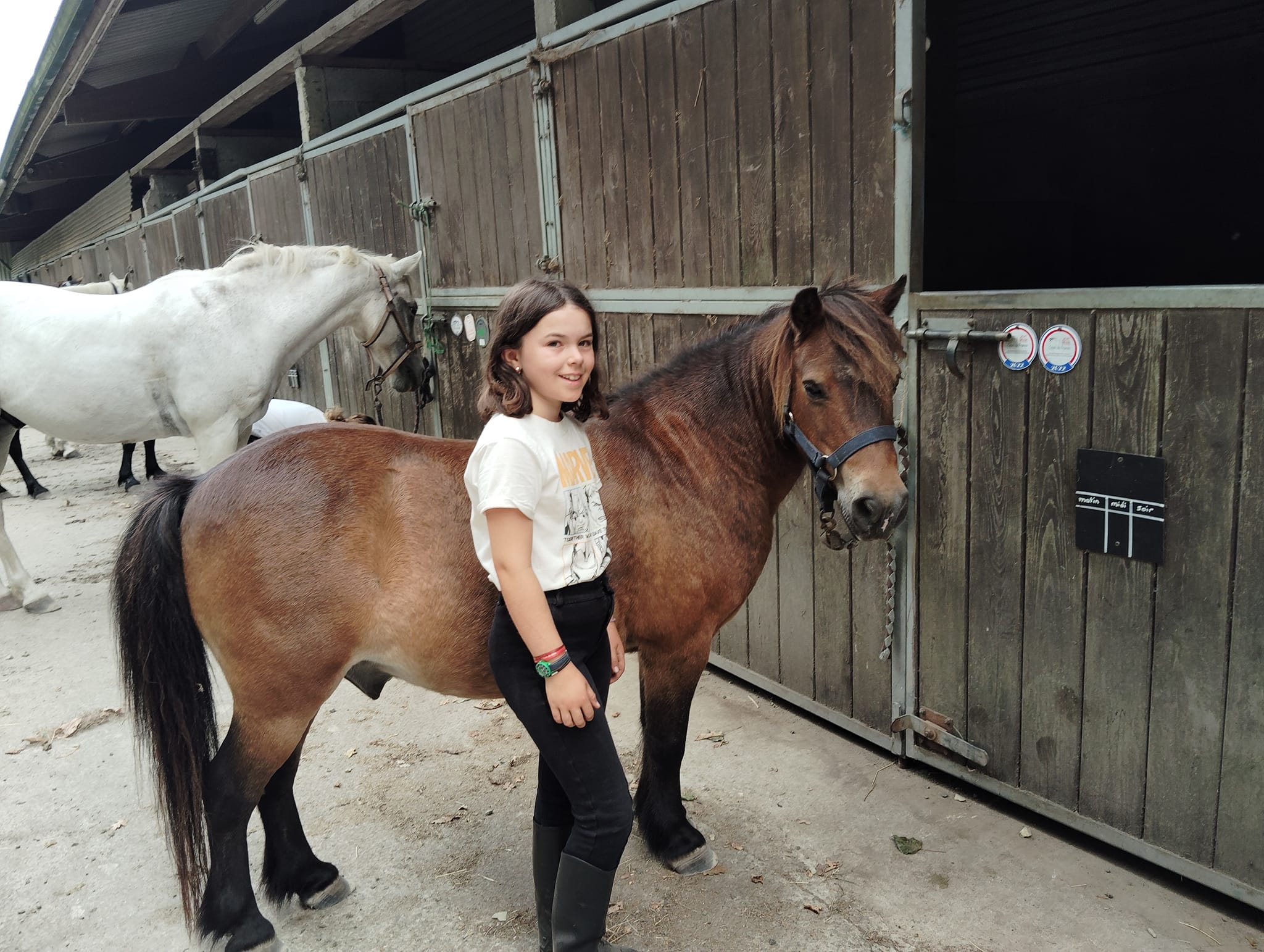 Séjour équitation & nature – Écurie de l’Étoile, Bretagne - Image 2