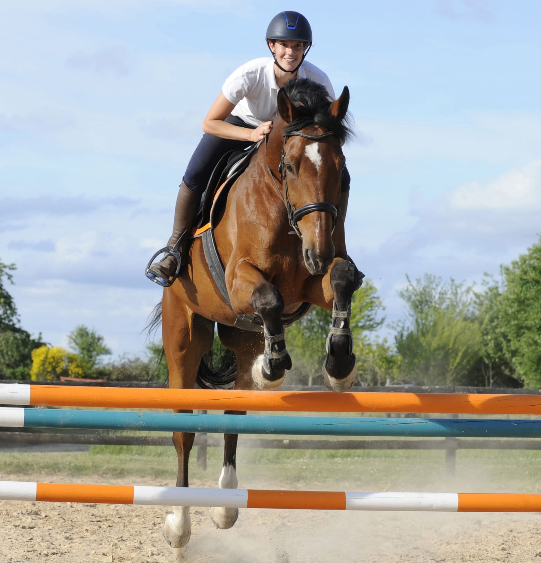 Séjour de vacances équitation dans la Vienne  - Image 1