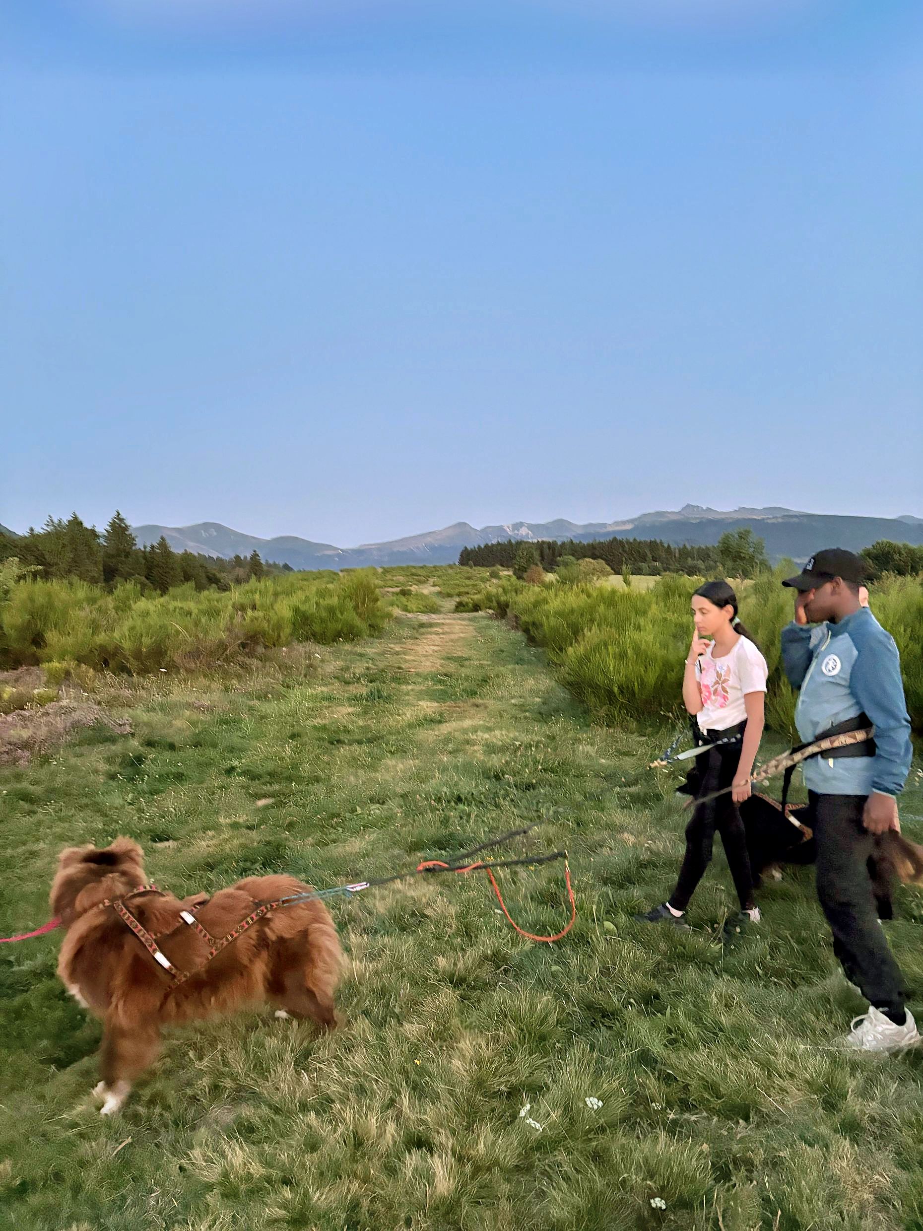 Cani-Rando - Image 3