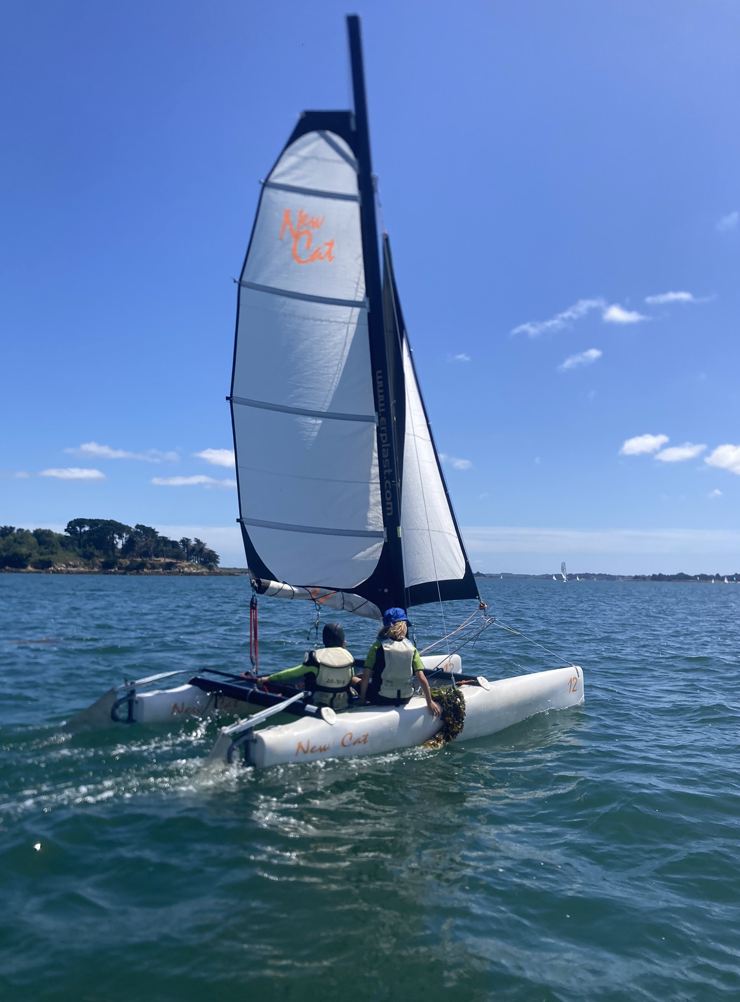 🐬🐚 Multi-voiles en Bretagne - Image 3