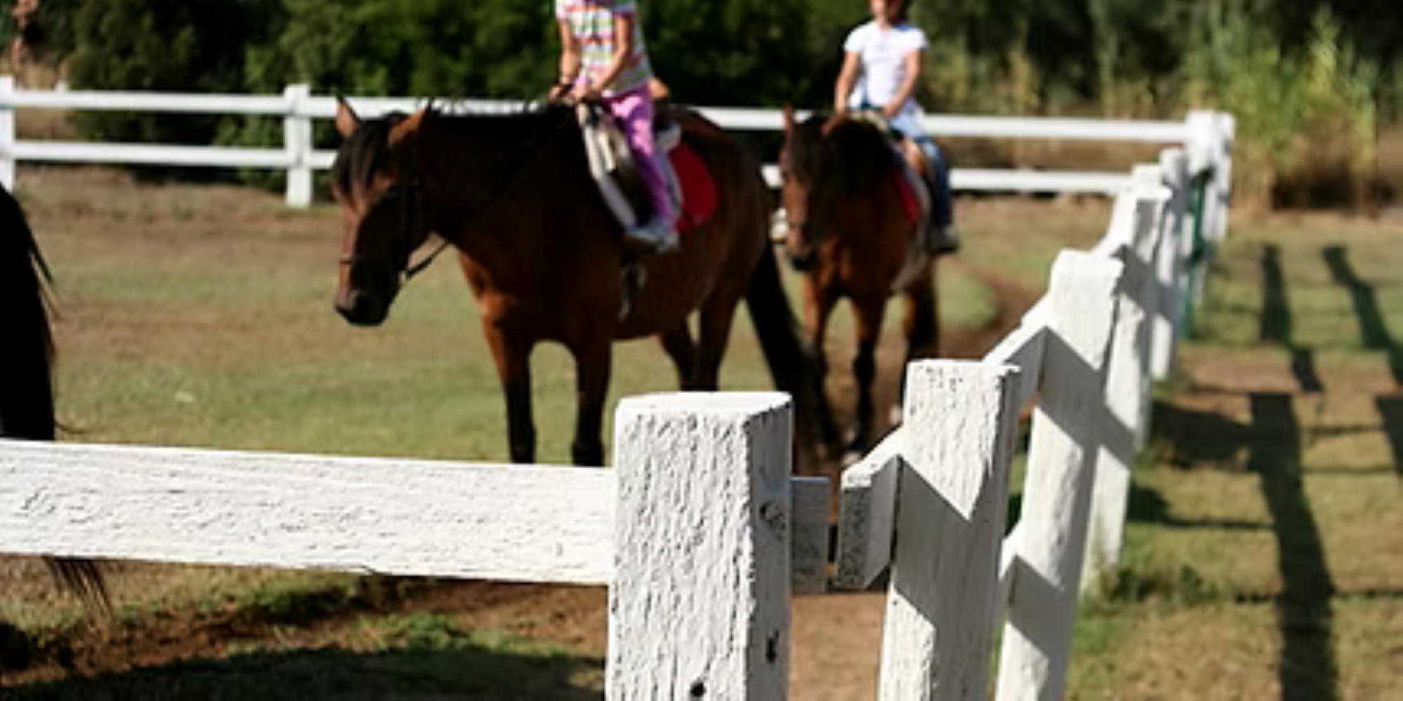 Premier départ à cheval - Image 3