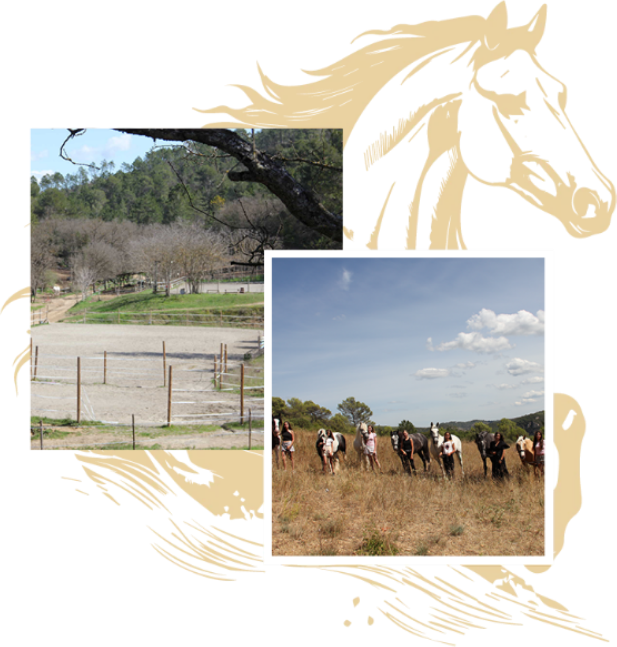 Premier départ à cheval - Image 1