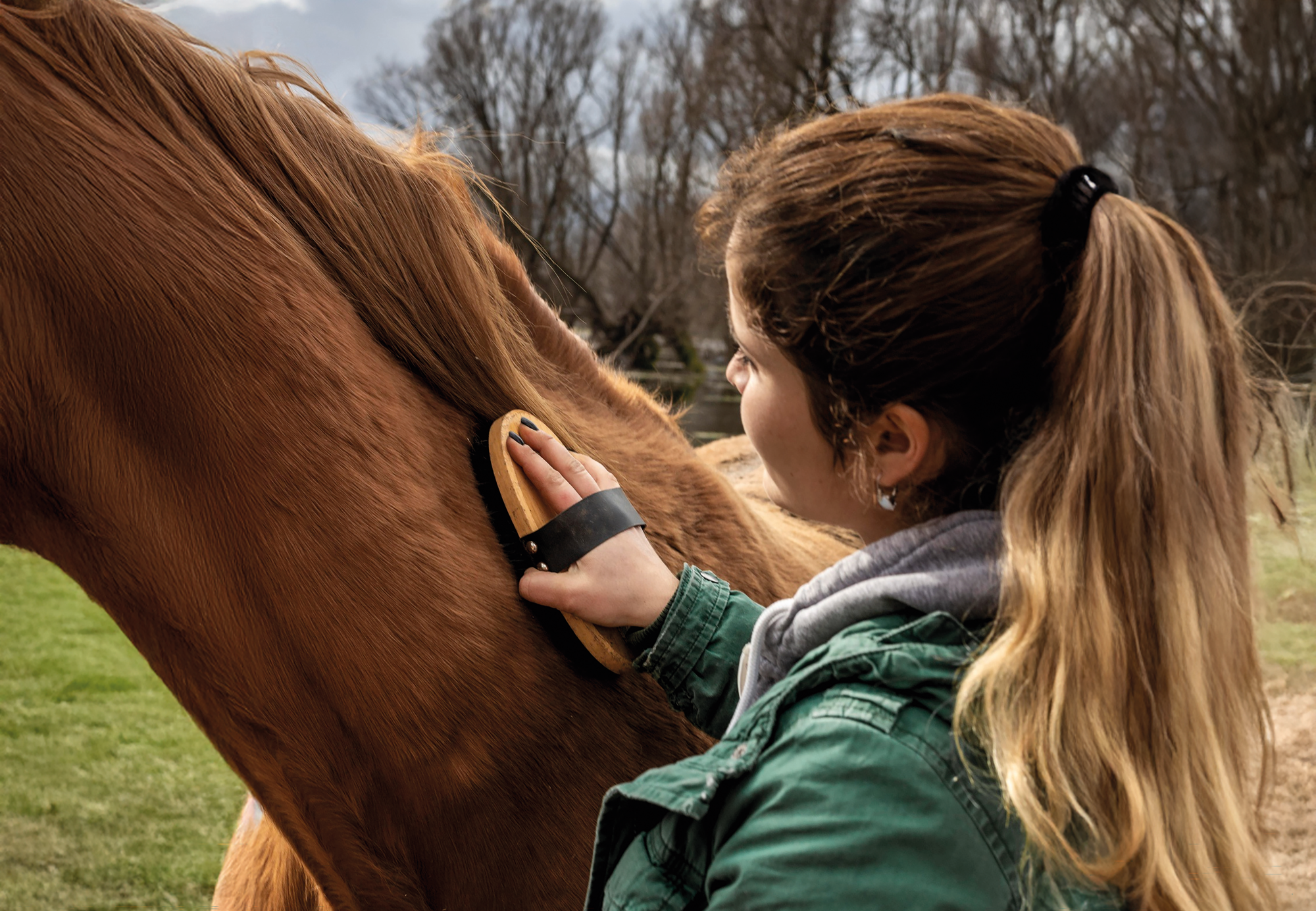 Premier départ à cheval - Image 2