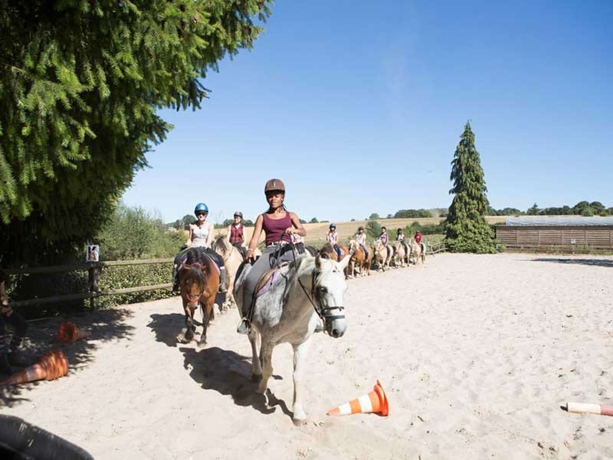 Equitation & Farwest - Image 3
