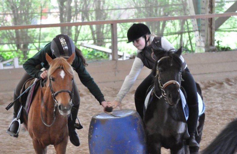 séjour équitation - Image 3