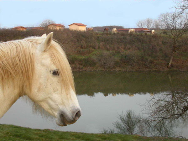 Thumbnail 27