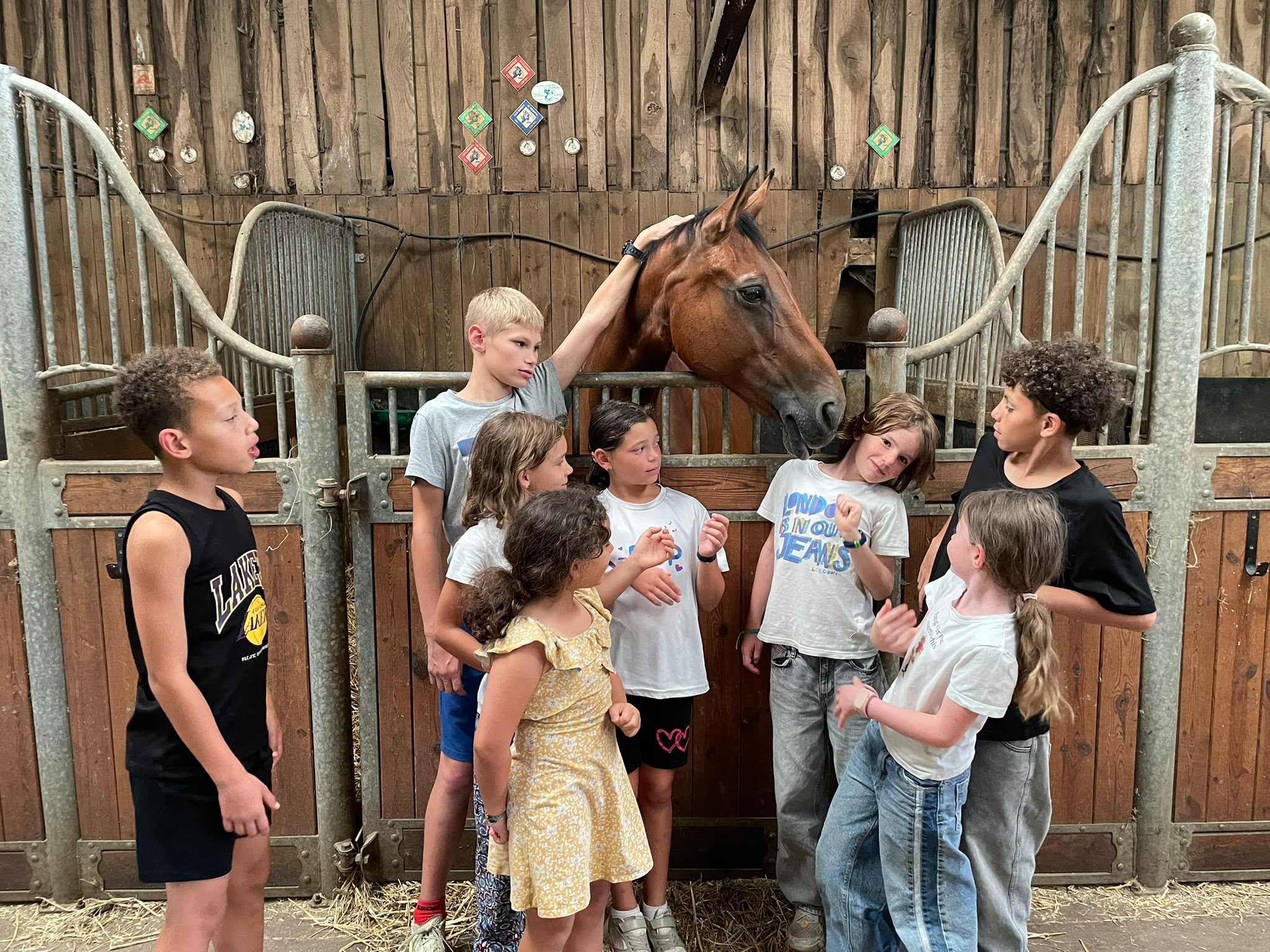 Colo équitation - Image 3