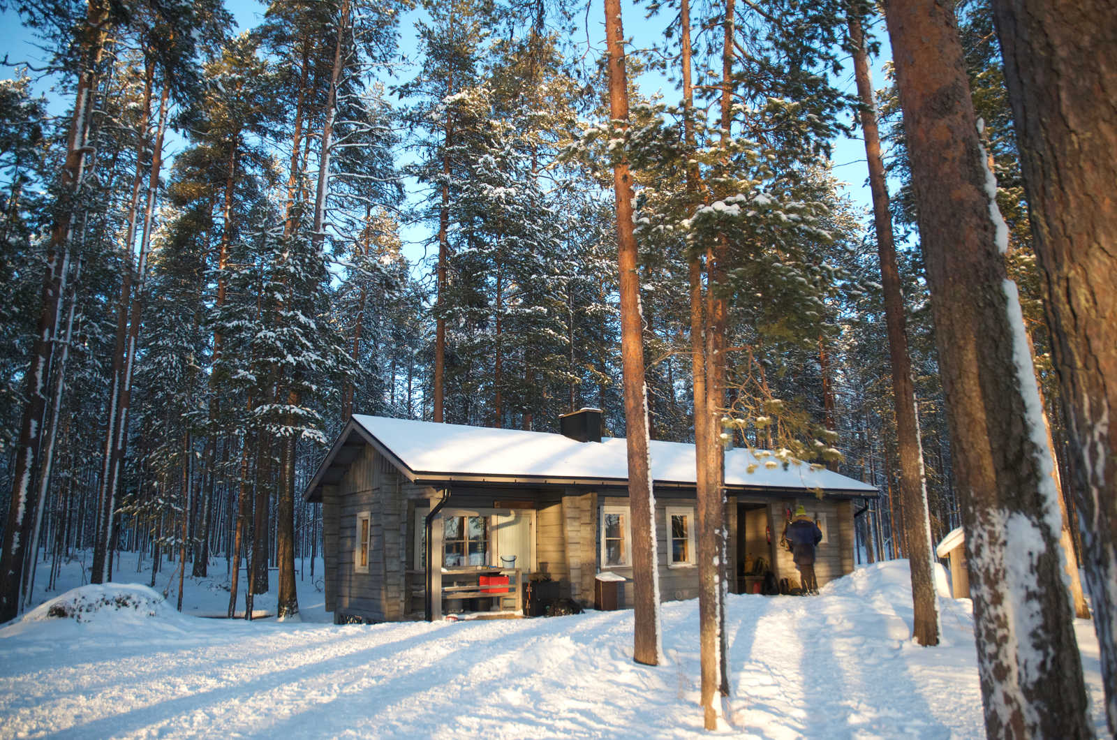 Séjour colo Finlande Grandeur nature - 14 / 17 ans février 2027 - Image 2
