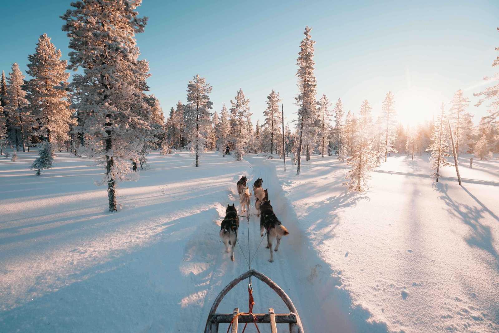 Séjour colo Finlande Grandeur nature - 14 / 17 ans février 2027 - Image 3