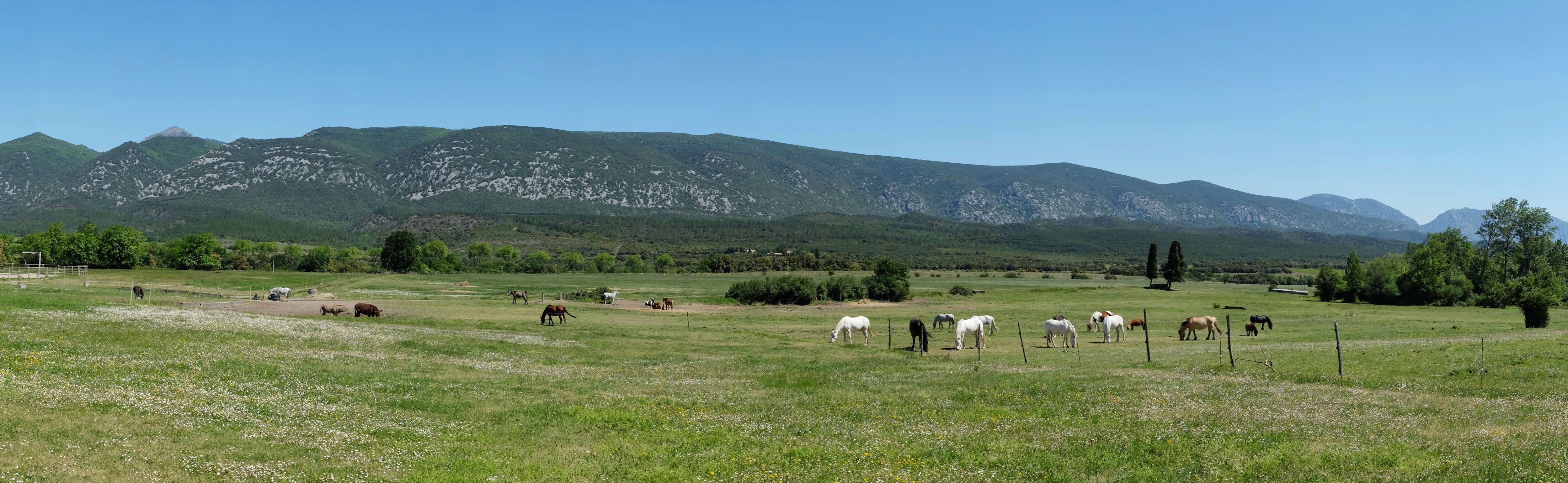 Equitation nature 10-14 ans - Image 3