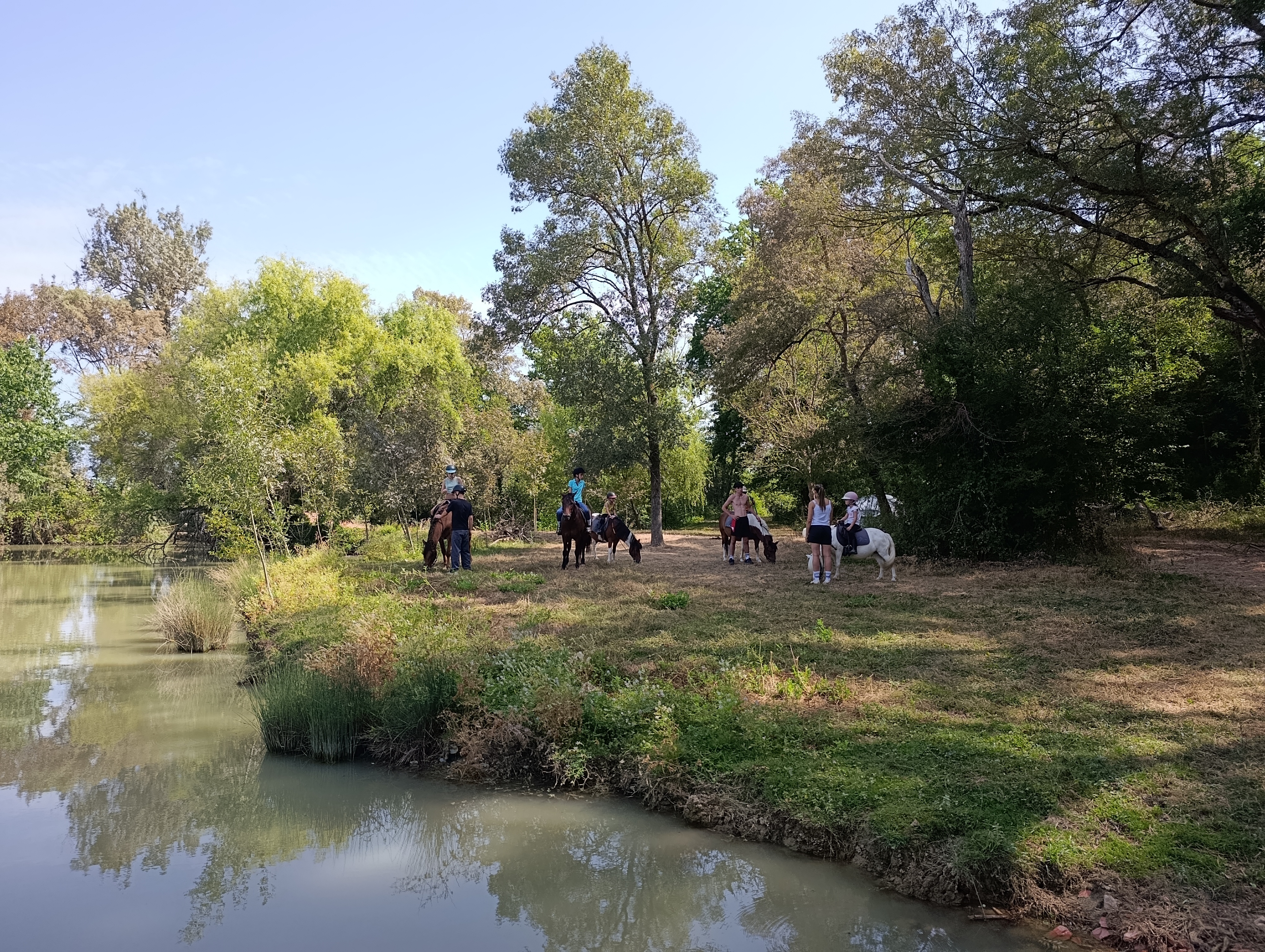 Séjour équitation intensive - Galops 4 à 6 - Image 2