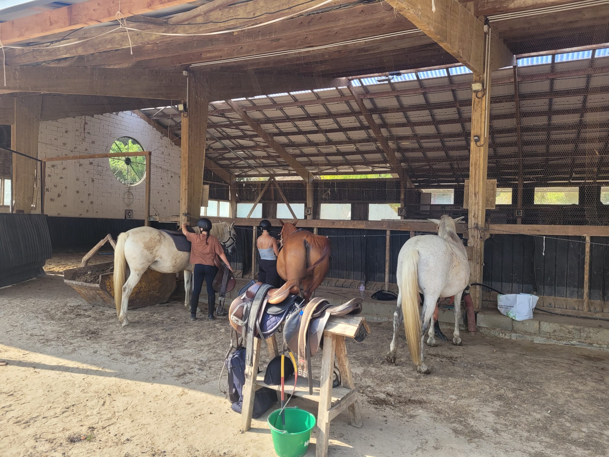 Séjour équitation intensive - Galops 1 à 3 - Image 3