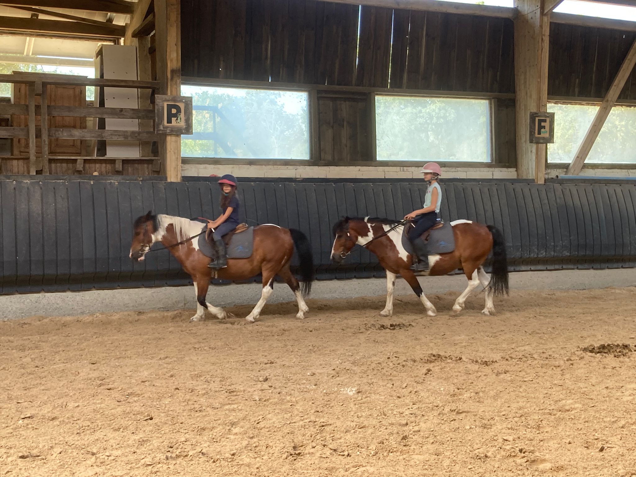 Séjour équitation intensive - Galops 1 à 3 - Image 1