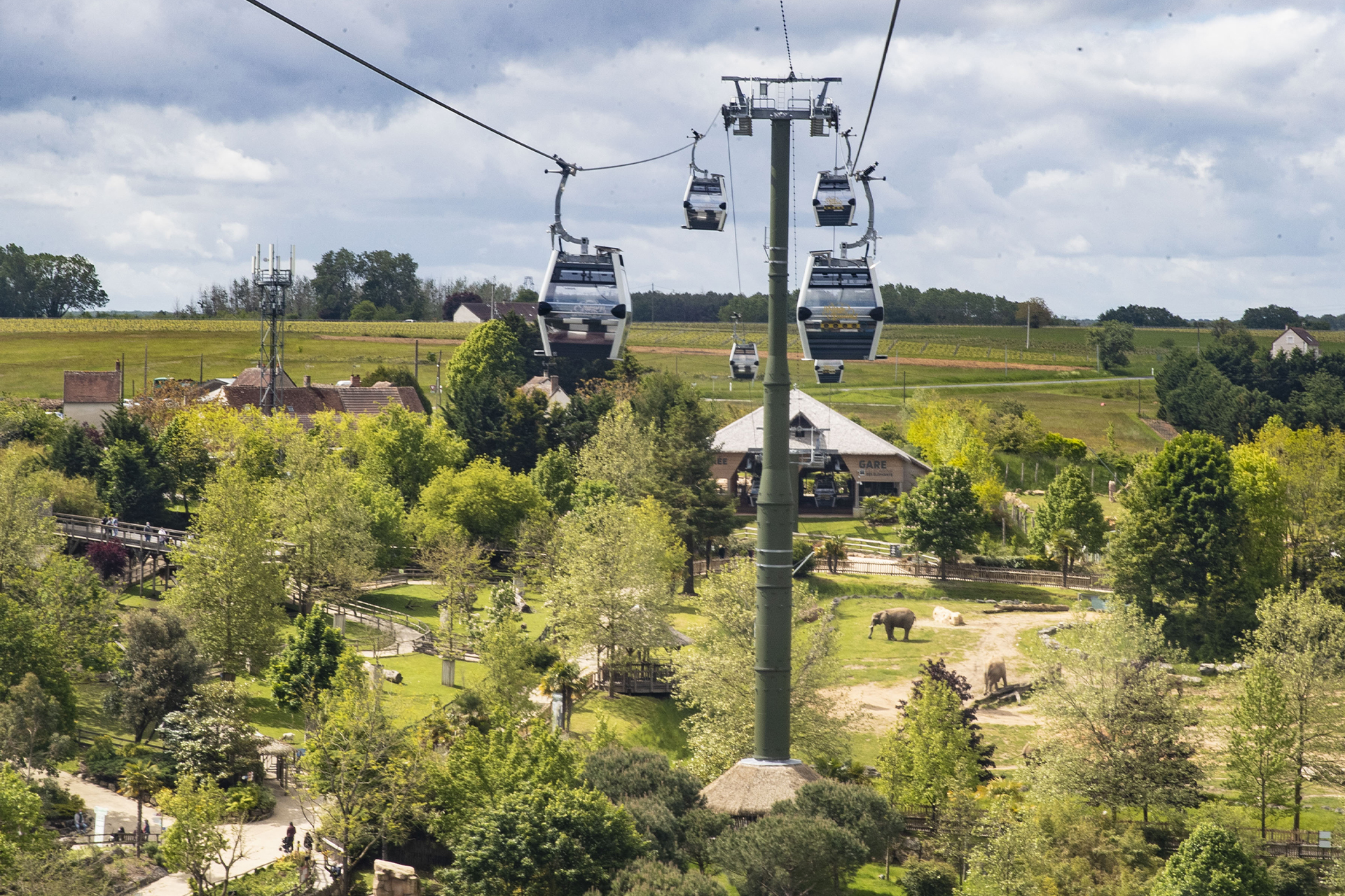 Zoo de Beauval & découverte des châteaux  - Image 2