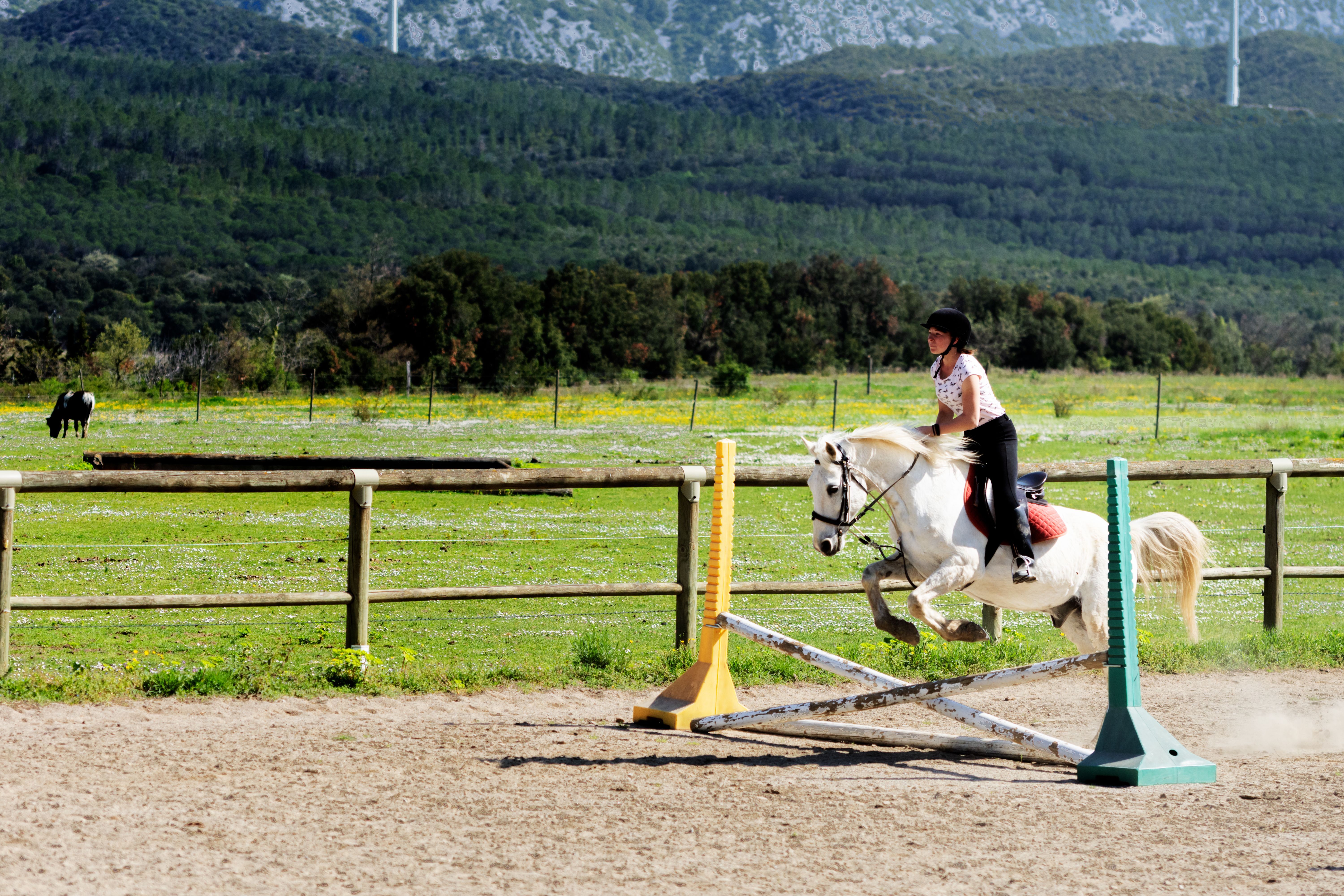 Equitation nature 10-14 ans - Image 1