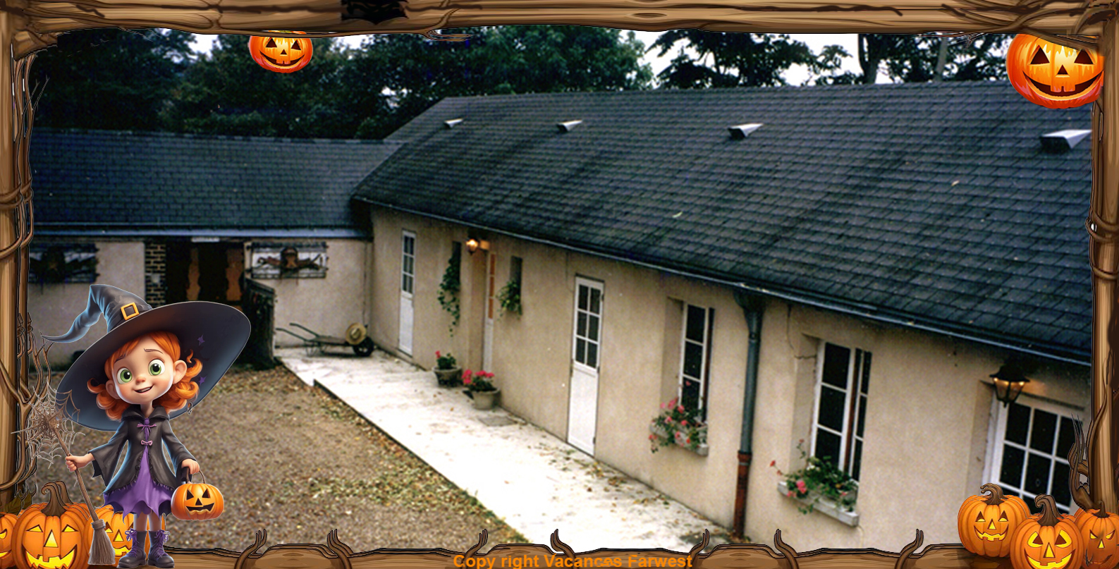 Thumbnail 14