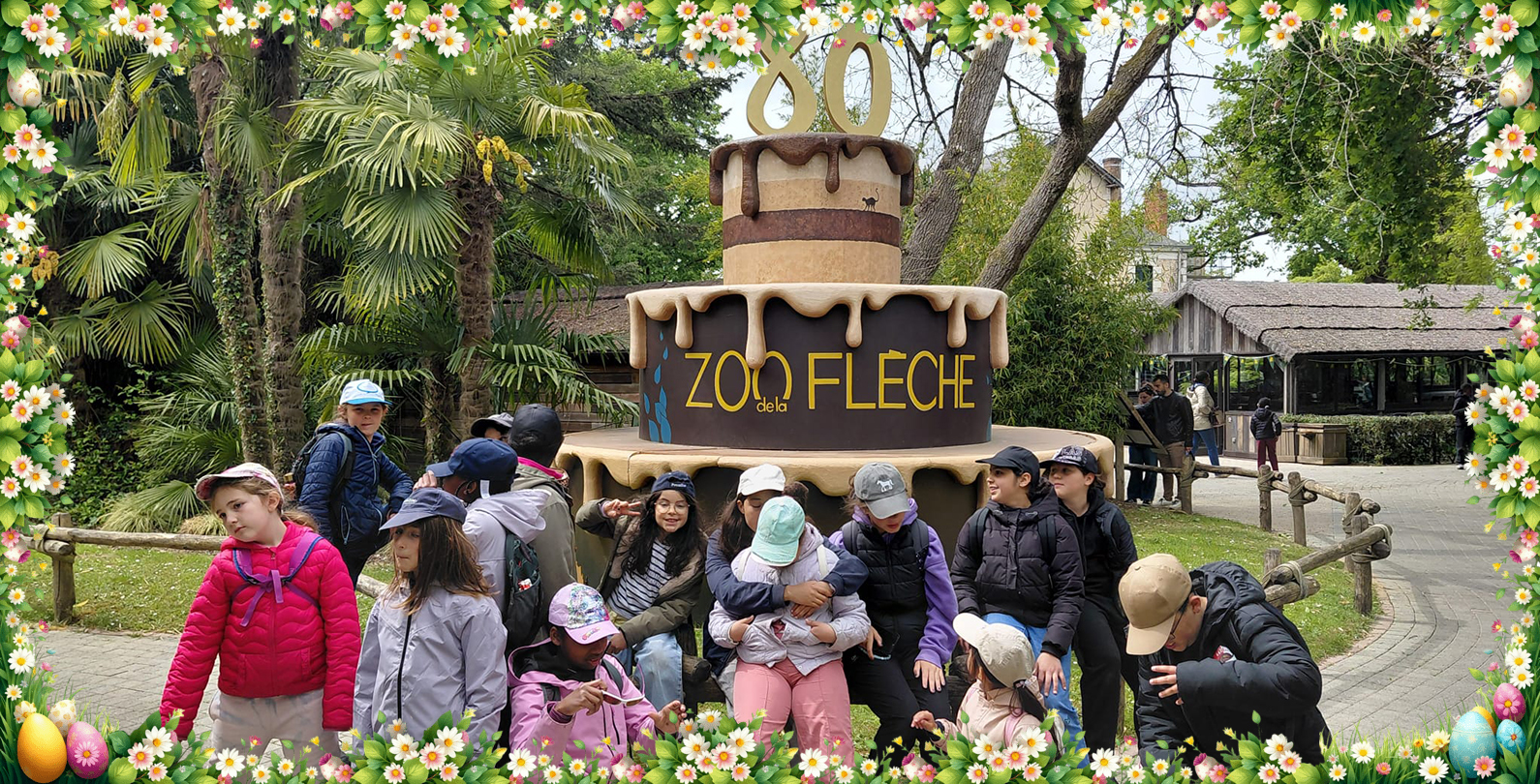 Poney_Zoo_PRINTEMPS_2027 - Image 3