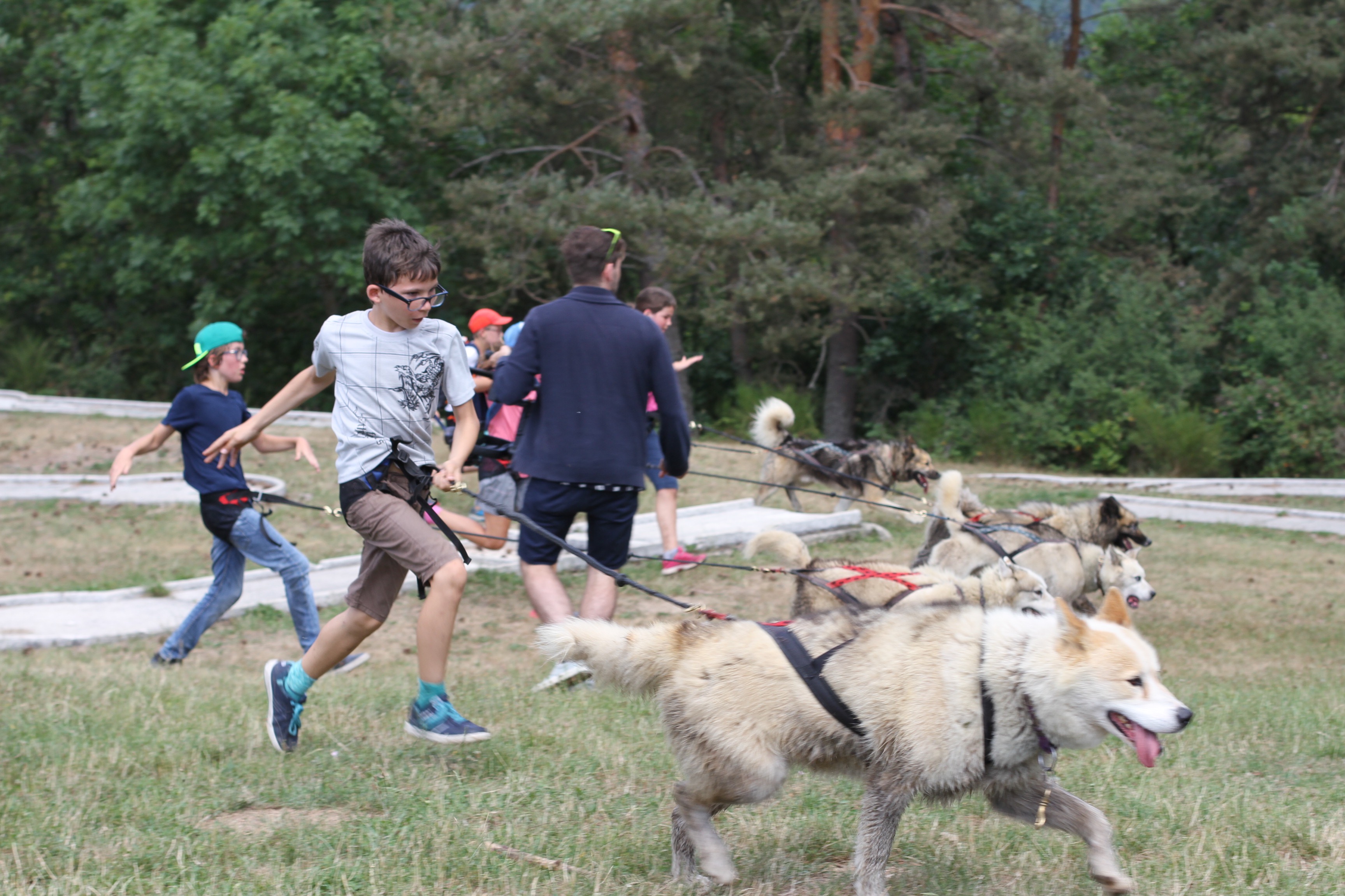 Aventurier en Herbe - Image 2