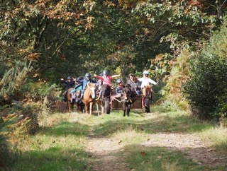 Dans la peau d'un petit fermier - Normandie - Image 1