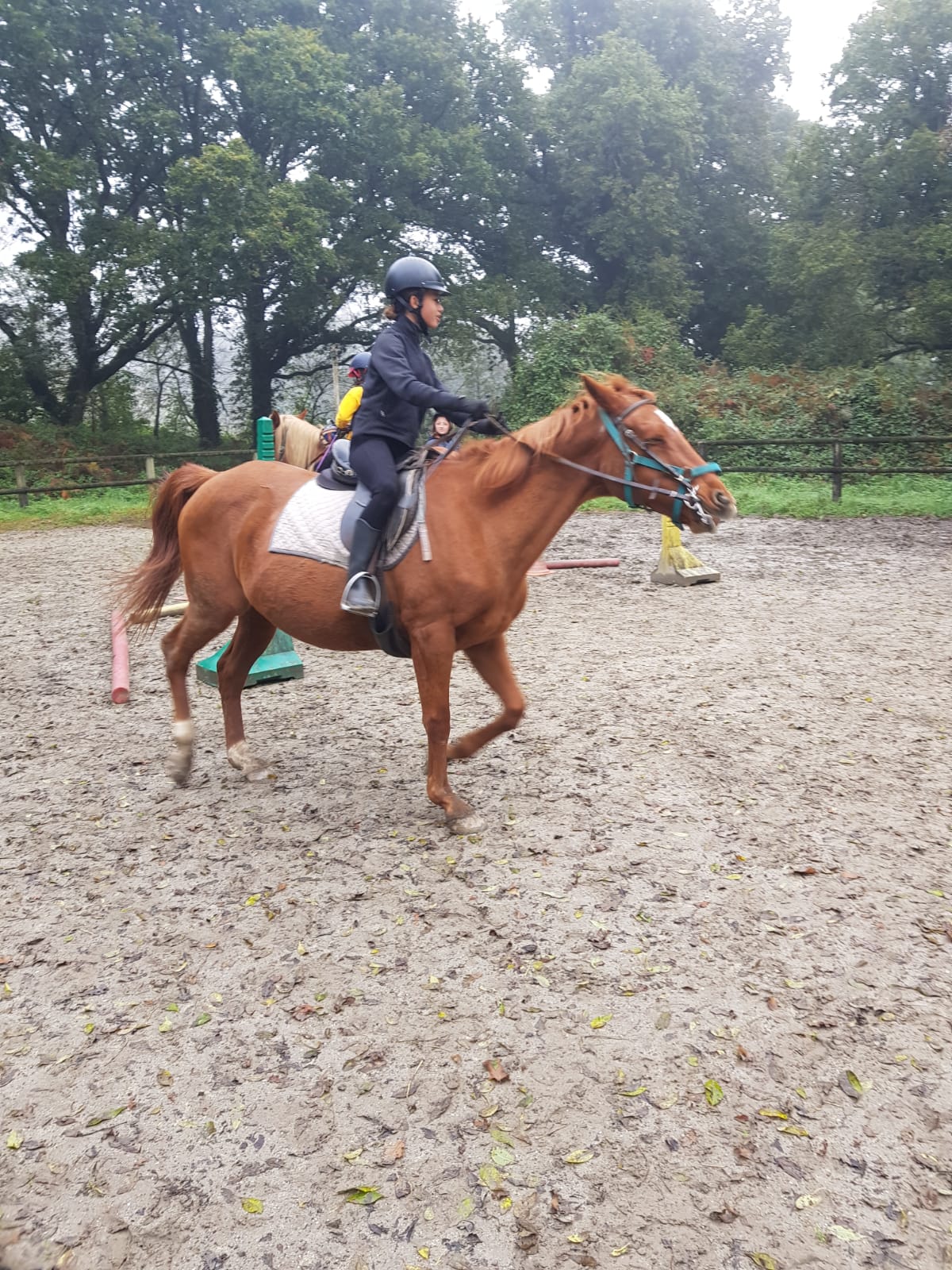Séjours équitation 7-12 ans Centre Bretagne - Toussaint