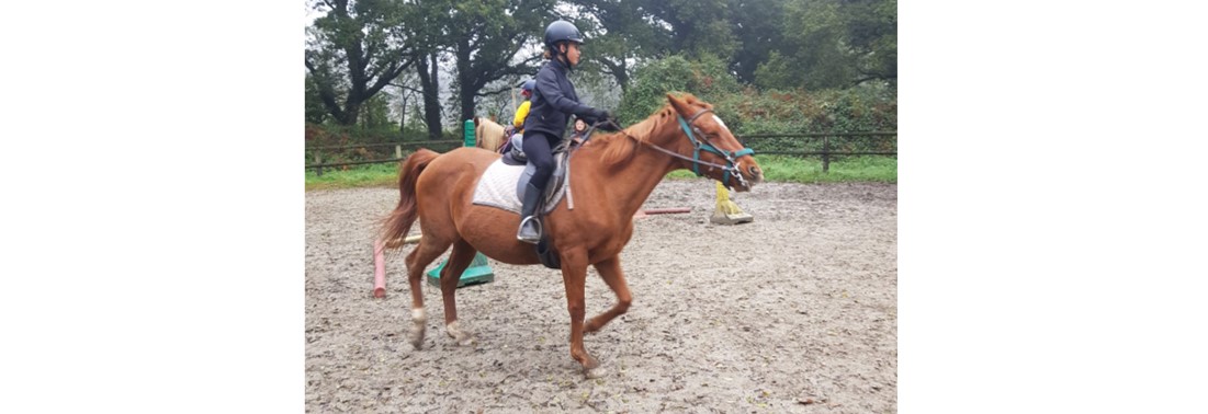 Séjour équitation & multi-activités 12-15 ans Centre Bretagne