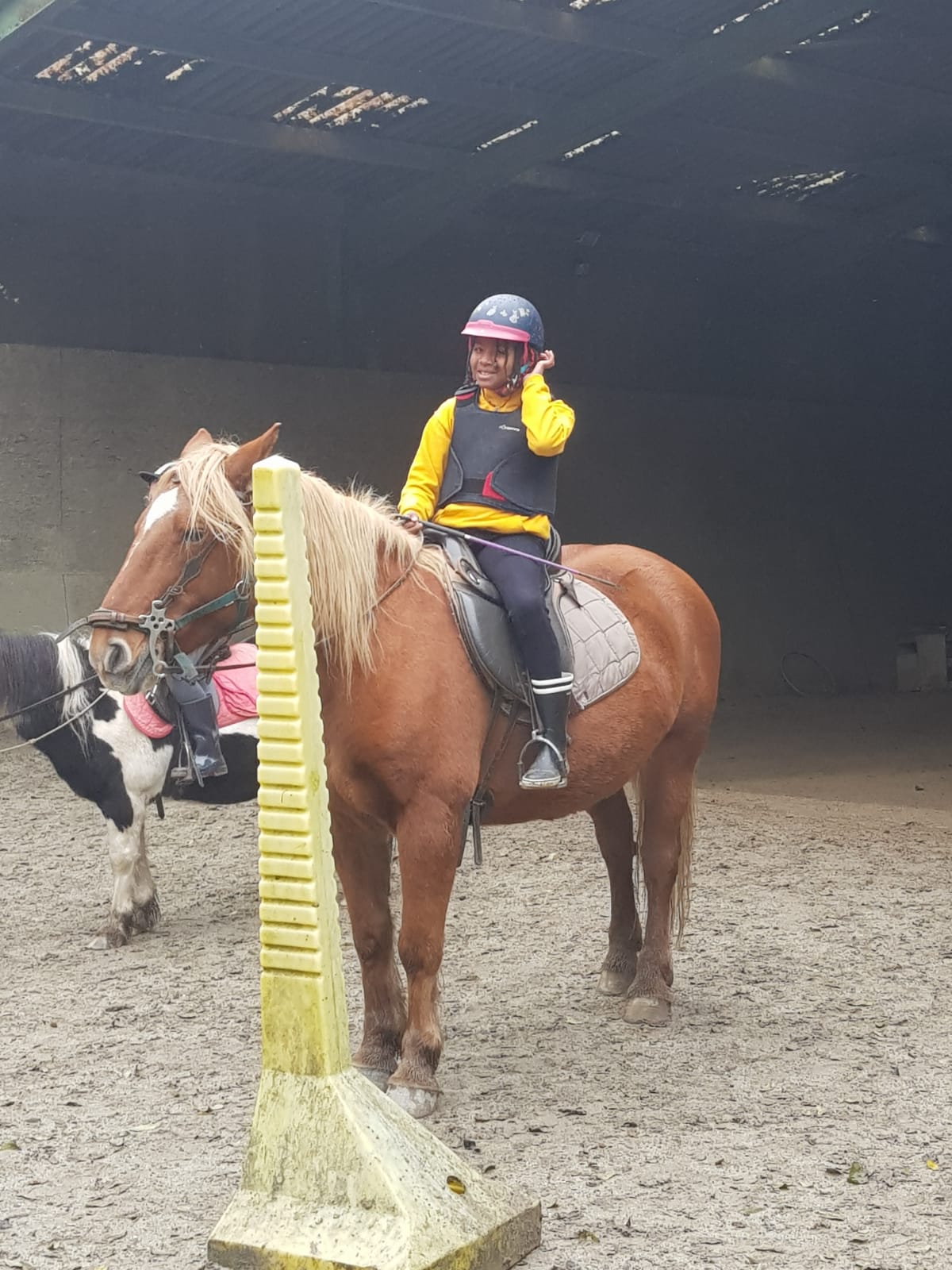Séjour équitation & multi-activités 12-15 ans Centre Bretagne