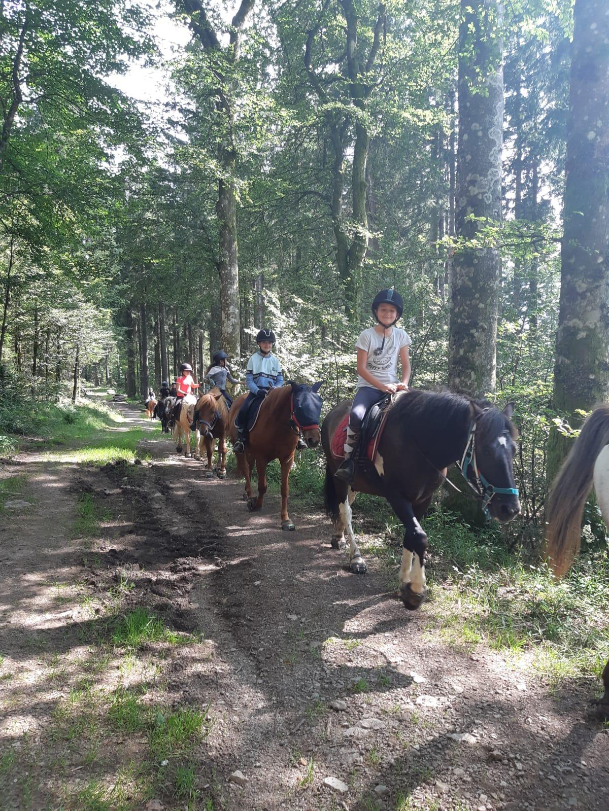 Cheval Sport  - Image 2