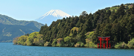 Séjour évasion à Tokyo