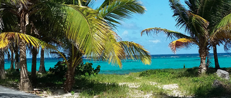 Découvrez la Guadeloupe