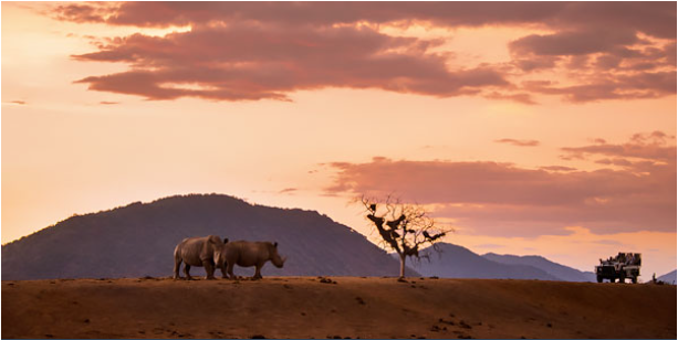 Afrique du Sud