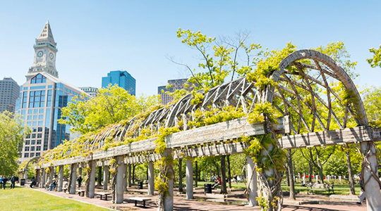 Boston - Image 2