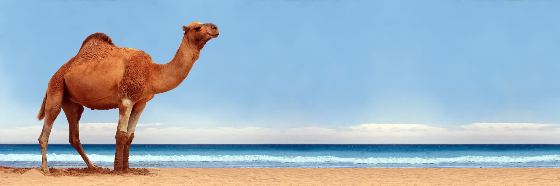 Profitez du Maroc