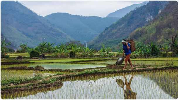 Découverte du Vietnam