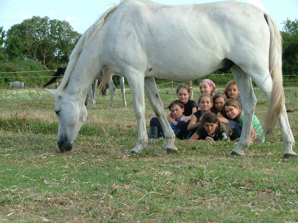 Colonie Équitation Initiation en Gironde