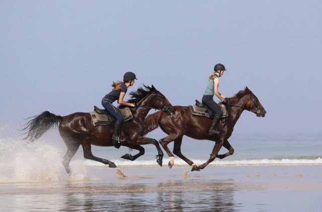 Équitation et cours d’anglais (programme classique)